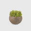 Eccotrading Design London Accessories Bronze Lava Greenery Bowl House of Isabella UK