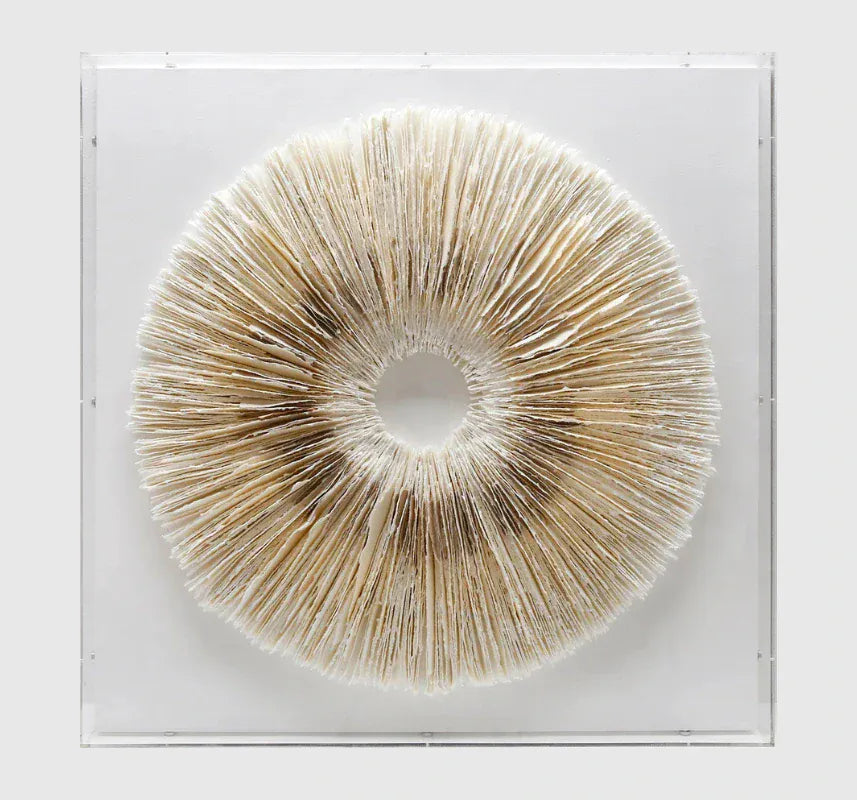 Eccotrading Design London Accessories Circle of Stillness Handmade Dimensional Paper Wall Sculpture House of Isabella UK