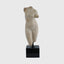 Eccotrading Design London Accessories Decorative Marble Aphrodite Torso with Black Marble Base House of Isabella UK