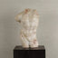Eccotrading Design London Accessories Decorative Marble Belvedere Torso House of Isabella UK
