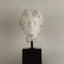Eccotrading Design London Accessories Decorative Marble Female Bust with Black Marble 2 House of Isabella UK