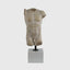 Eccotrading Design London Accessories Decorative Marble Male Torso With White Marble Base 2 House of Isabella UK