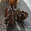 Eccotrading Design London Accessories Marine Bronze Vessel 11 House of Isabella UK