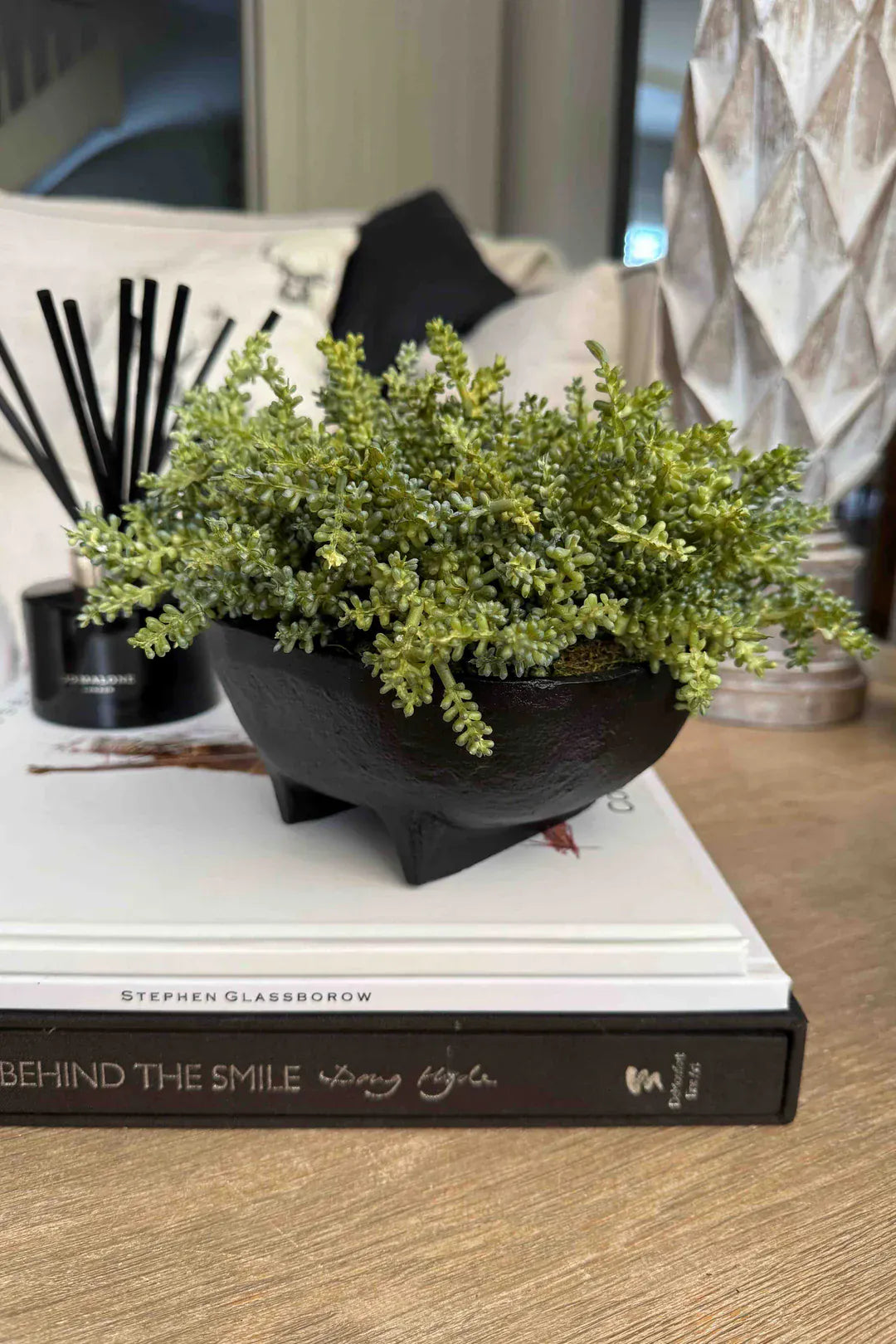 Eccotrading Design London Accessories Mini Plant in a Black Footed Bowl House of Isabella UK