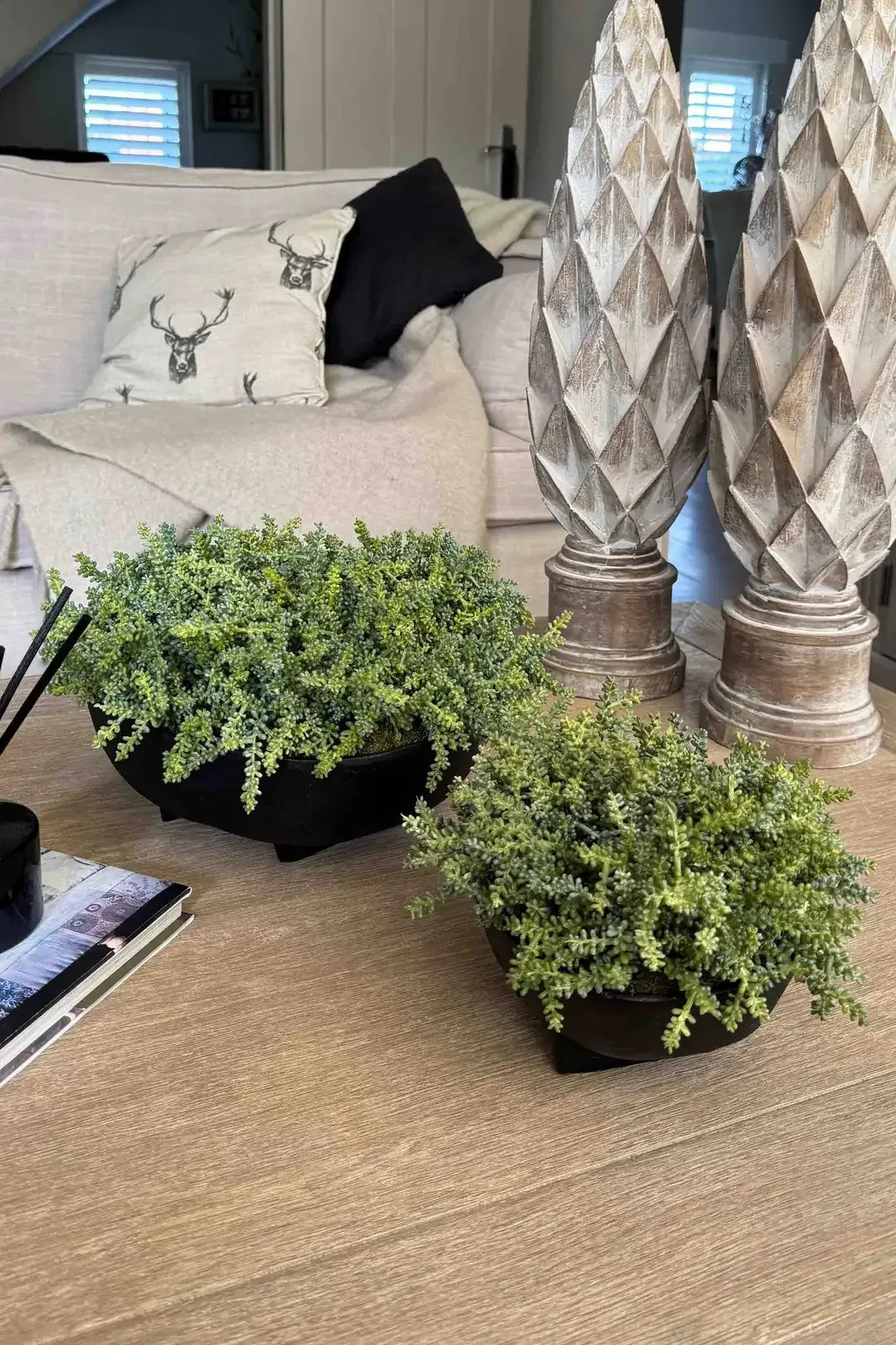 Eccotrading Design London Accessories Mini Plant in a Black Footed Bowl House of Isabella UK