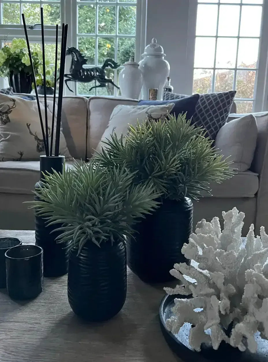 Eccotrading Design London Accessories Spiky Succulents in a Carved Glass Vase House of Isabella UK