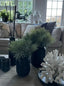 Eccotrading Design London Accessories Spiky Succulents in a Carved Glass Vase House of Isabella UK