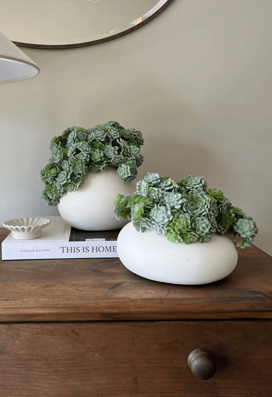 Eccotrading Design London Accessories Succulent Bush in a Matt Cream Vase House of Isabella UK