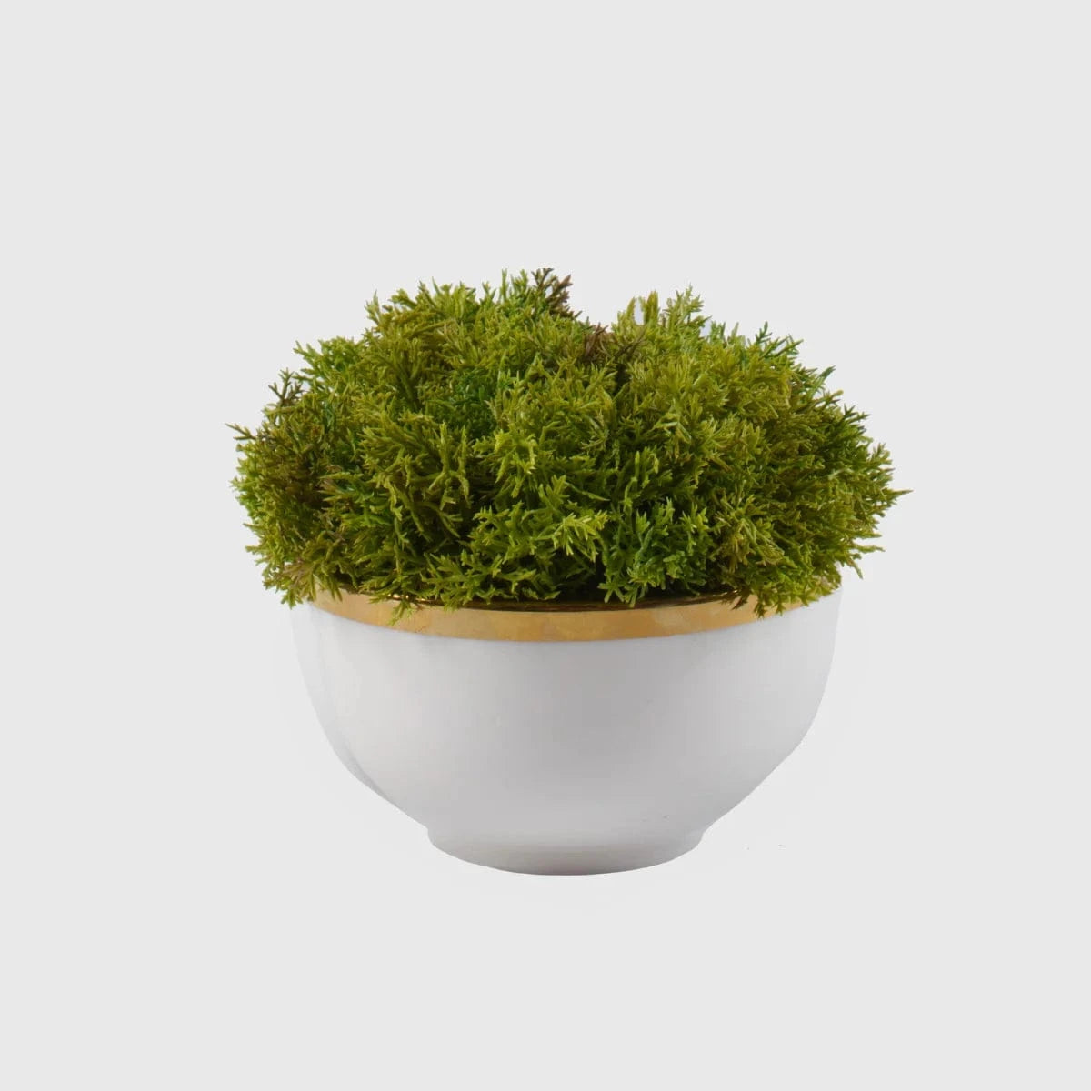 Eccotrading Design London Accessories White Ceramic Bowl with Moss House of Isabella UK