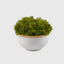 Eccotrading Design London Accessories White Ceramic Bowl with Moss House of Isabella UK