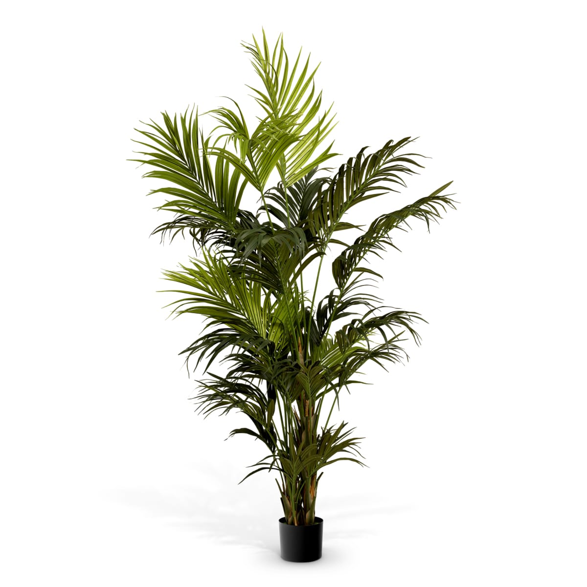 Eichholtz Accessories Artificial Plant Kentia Palm House of Isabella UK