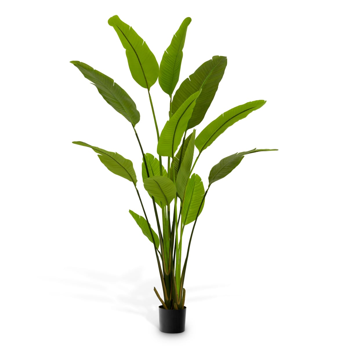 Eichholtz Accessories Artificial Plant Strelitzia M House of Isabella UK