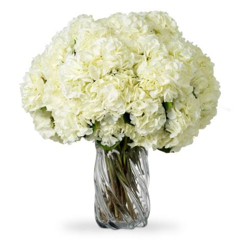 Eichholtz Accessories Bouquet of Hydrangeas real touch 48 pcs/2 varietie House of Isabella UK