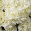 Eichholtz Accessories Bouquet of Hydrangeas real touch 48 pcs/2 varietie House of Isabella UK