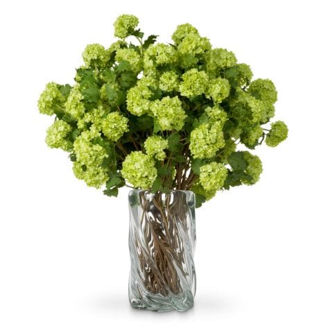 Eichholtz Accessories Bouquet of Hydrangeas snowball real touch 36 pcs House of Isabella UK