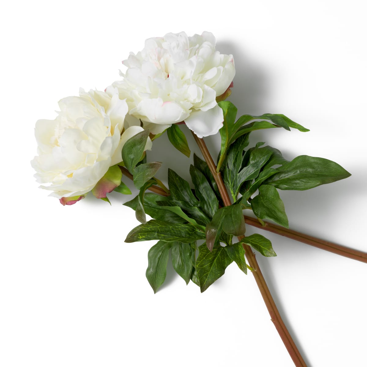 Eichholtz Accessories Bouquet of Peonies real touch 48 pcs/2 varieties House of Isabella UK