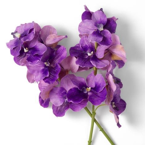 Eichholtz Accessories Bouquet of Vanda Orchids real touch 24 pcs House of Isabella UK