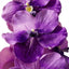 Eichholtz Accessories Bouquet of Vanda Orchids real touch 24 pcs House of Isabella UK