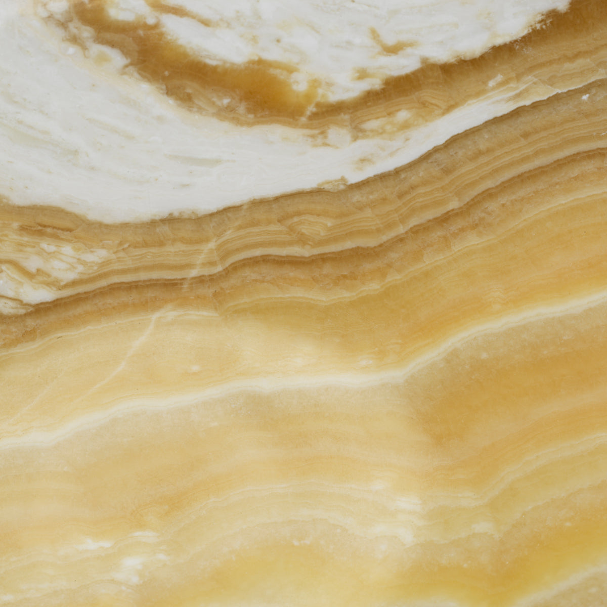 Eichholtz Accessories Bowl Memphite S House of Isabella UK