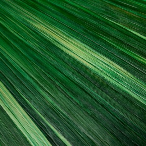 Eichholtz Accessories Box Harvard House of Isabella UK