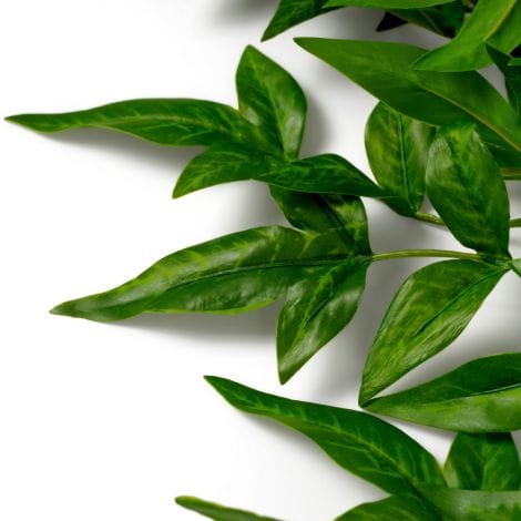 Eichholtz Accessories Bundle of Tender leaves 36 pcs House of Isabella UK