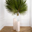 Eichholtz Accessories Column Cuneo S House of Isabella UK
