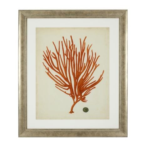 Eichholtz Accessories Framed Prints Antique red corals set of 6 House of Isabella UK