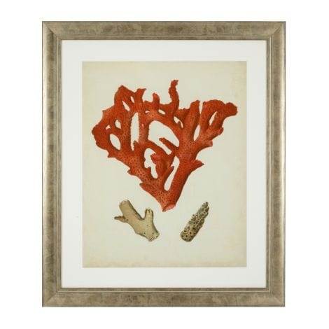 Eichholtz Accessories Framed Prints Antique red corals set of 6 House of Isabella UK