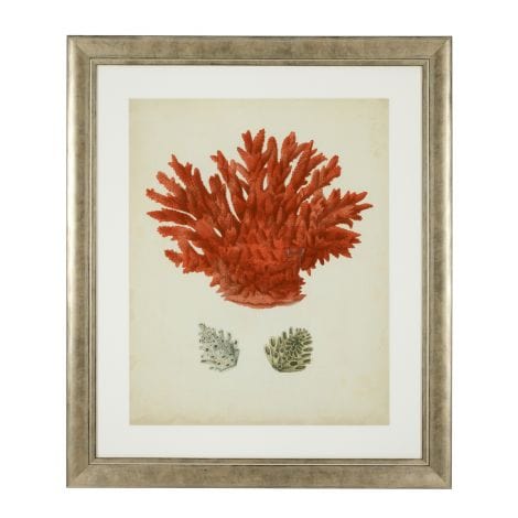 Eichholtz Accessories Framed Prints Antique red corals set of 6 House of Isabella UK
