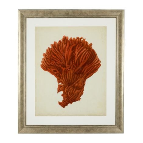 Eichholtz Accessories Framed Prints Antique red corals set of 6 House of Isabella UK