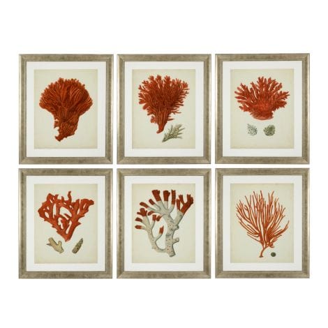 Eichholtz Accessories Framed Prints Antique red corals set of 6 House of Isabella UK