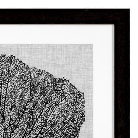 Eichholtz Accessories Framed Prints Shadow Sea Fans set of 4 House of Isabella UK