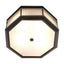 Eichholtz Lighting Ceiling Lamp Bagatelle - Bronze Highlight Finish with Frosted Glass House of Isabella UK