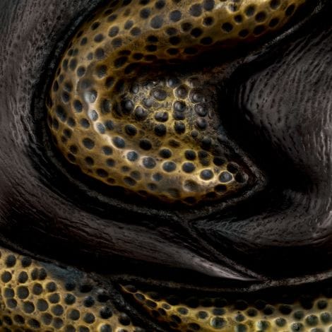 Eichholtz Lighting Wall Lamp Nuno House of Isabella UK