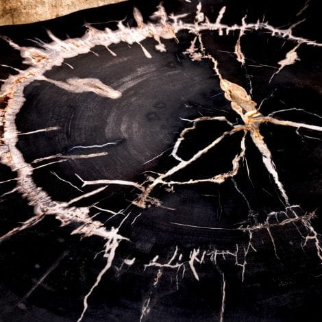 Eichholtz Living Coffee Table De Soto - Dark Range with Black Legs - Set of 3 House of Isabella UK