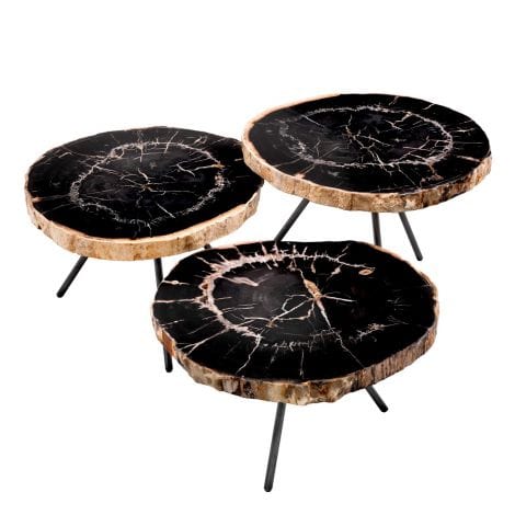 Eichholtz Living Coffee Table De Soto - Dark Range with Black Legs - Set of 3 House of Isabella UK