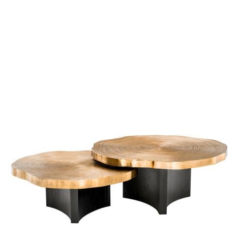 Eichholtz Living Coffee Table Thousand Oaks - Set of 2 House of Isabella UK