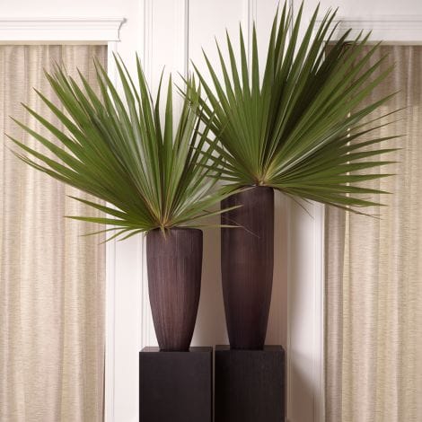 Eichholtz Living Vase Isandro L House of Isabella UK