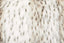 Esperance Accessories Bosie Lamina Animal Print Rectangular Fur Cushion House of Isabella UK