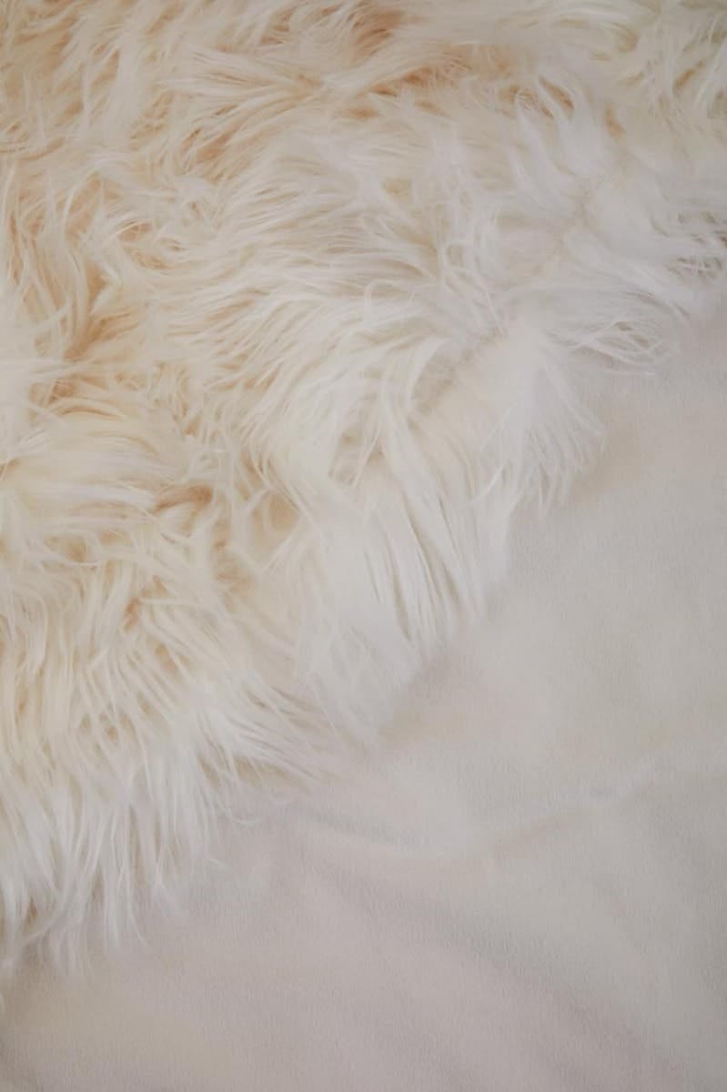 Esperance Accessories Bosie Lamina Cream Fur Throw House of Isabella UK