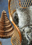 Esperance Accessories Bosie Lamina Mocha Ombre Square Fur Cushion House of Isabella UK
