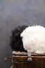Esperance Accessories Bosie Real Mongolian Fur Black Round Cushion House of Isabella UK