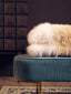 Esperance Accessories Bosie Real Mongolian Fur Natural Ombre Rectangular Cushion House of Isabella UK