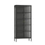 Esperance Living Addison Black Metal and Fluted Glass Door Tall Cabinet House of Isabella UK