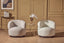 Esperance Living Bordo Textured Cream Curved Swivel Chair House of Isabella UK