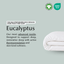 Ethical Bedding™ Bed Sheets Cool & Comfy Silk Fitted Sheet (Eucalyptus) House of Isabella UK