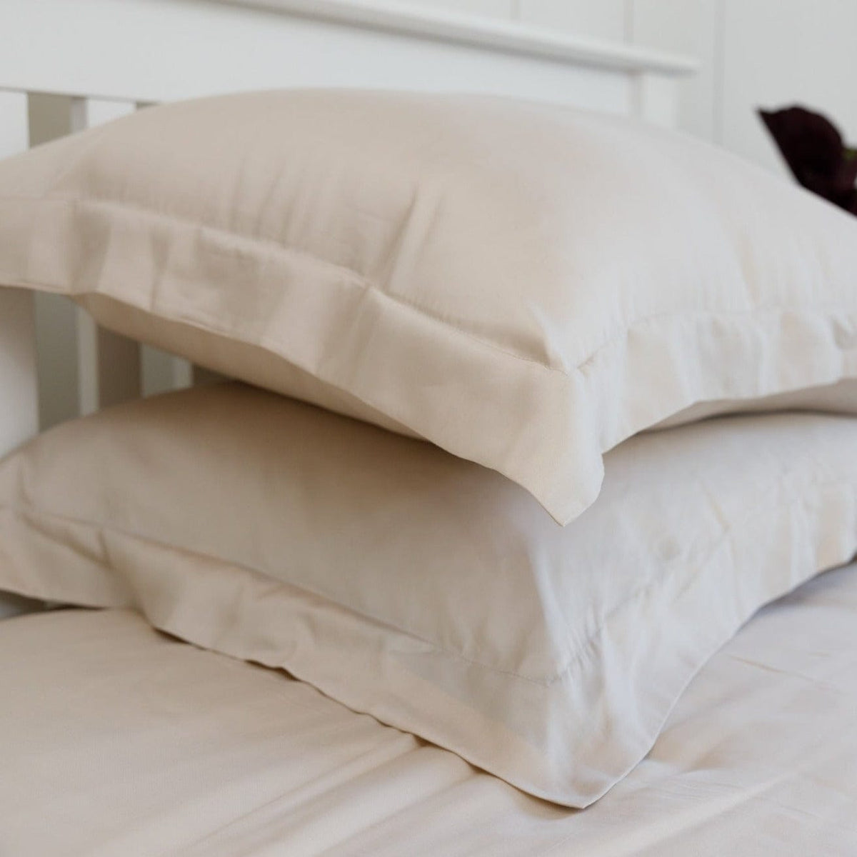 Ethical Bedding™ Bed Sheets Super King / Grey Fitted Sheet in Grey (Eucalyptus Silk) House of Isabella UK