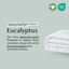 Ethical Bedding™ Duvet Covers Cool & Comfy Silk Duvet Cover (Eucalyptus) House of Isabella UK