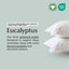 Ethical Bedding™ Pillowcases Cool & Comfy Silk Pillowcase Pair (Eucalyptus) House of Isabella UK