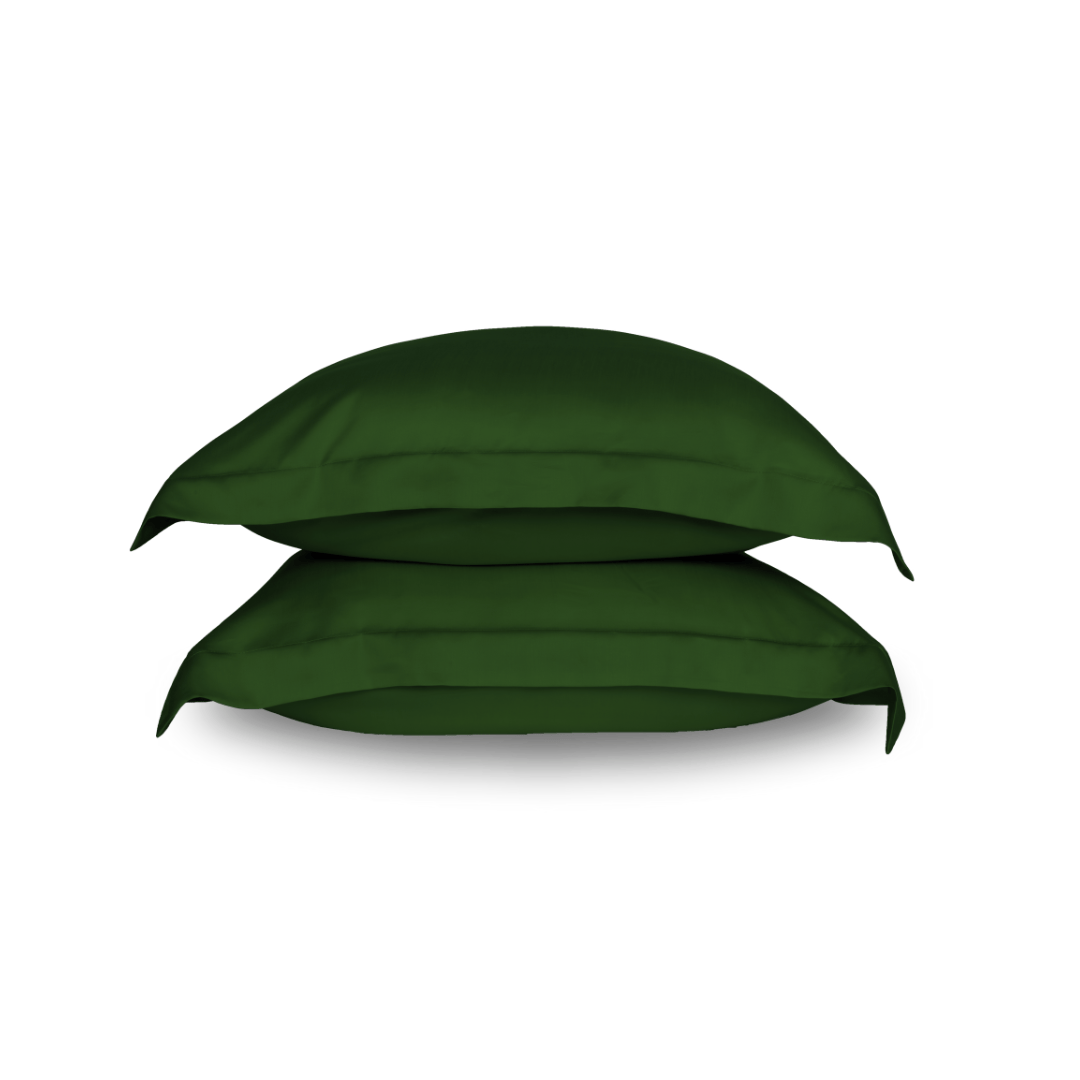 Ethical Bedding™ Pillows Sleepyhead Silk Pillow Set in Grey House of Isabella UK